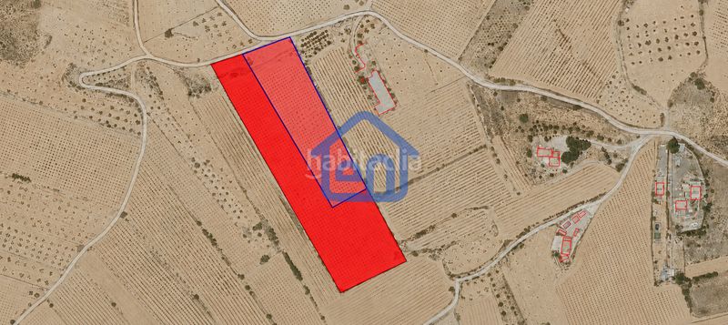 Foto fa5b3ce7-6f17-4a7c-82dc-ed634b9c940b. Finca rústica a Requena
