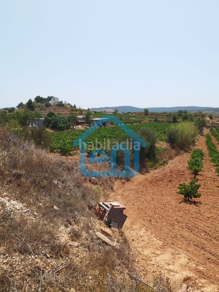 Foto ff656b59-bfb1-4af3-8ab1-e06c765fb563. Finca rústica a Requena