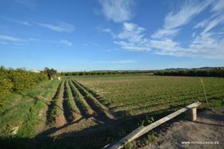 Finca rústica a Molins - Campanete - San Bartolomé