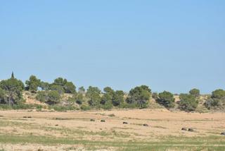 Terreny residencial a Gea y Truyols. Precio rebajado !! finca rústica de 20,7 ha. en murcia en la ped