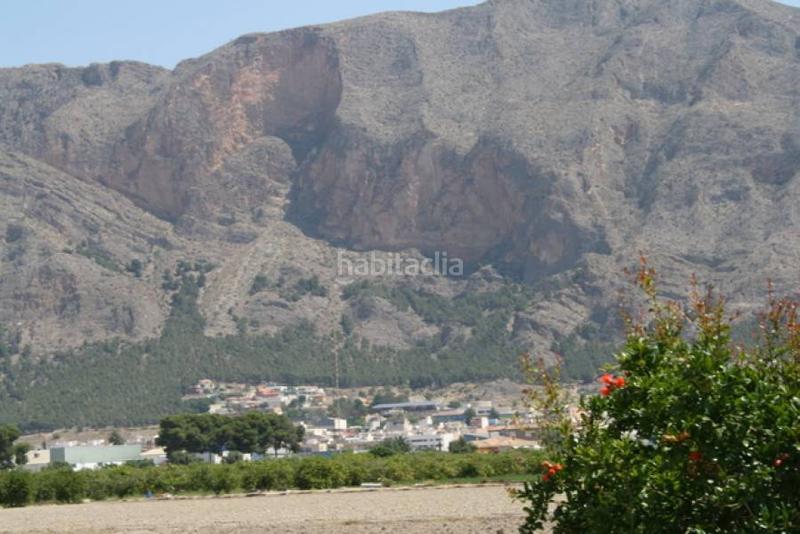 Foto 072dd66a-e075-47b5-8ecc-b3eb50458944. Finca rústica parcela a las afueras en Montepinar - La Aparecida - Raiguero Orihuela