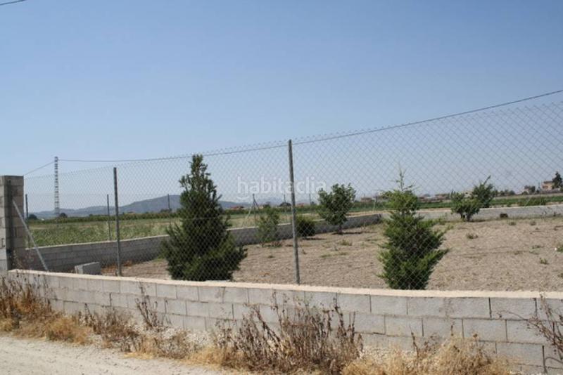 Foto 30139e75-c224-4d0b-823f-3745708c7027. Finca rústica parcela a las afueras en Montepinar - La Aparecida - Raiguero Orihuela