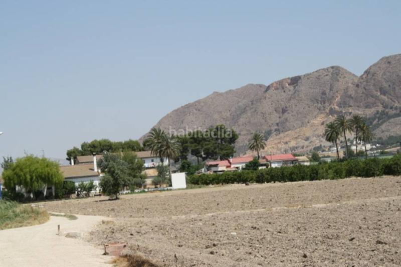 Foto 544bc784-7eaf-45a3-bdbc-0f1e26e722c1. Finca rústica parcela a las afueras en Montepinar - La Aparecida - Raiguero Orihuela