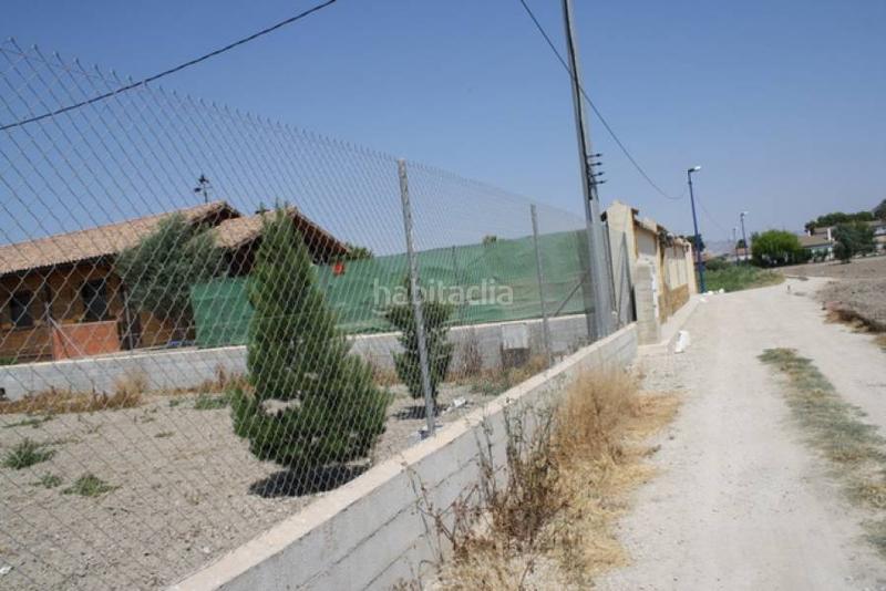 Foto 7adccd57-f159-4d57-aa40-e1651239e742. Finca rústica parcela a las afueras en Montepinar - La Aparecida - Raiguero Orihuela