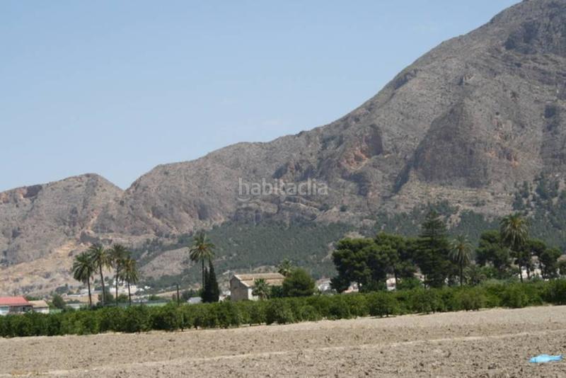 Foto 87671ece-85af-4469-8680-b173b2ffe8f4. Finca rústica parcela a las afueras en Montepinar - La Aparecida - Raiguero Orihuela