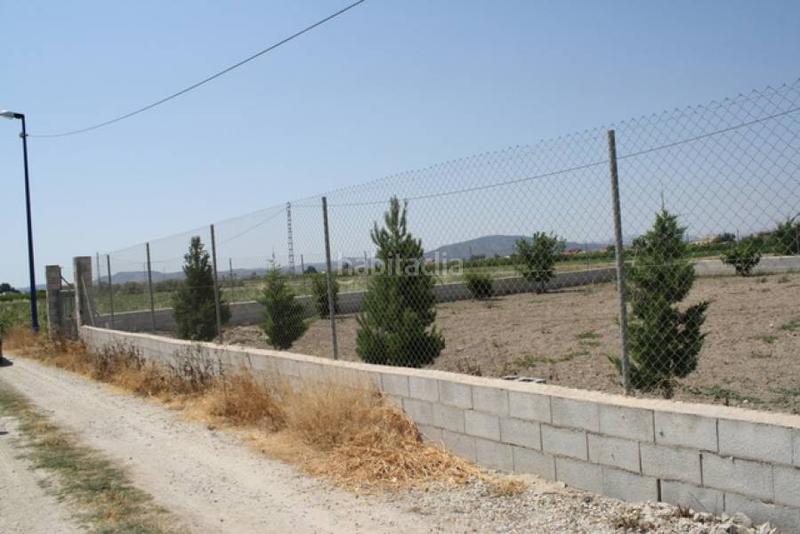 Foto 8c2066bc-4396-4c8a-97ce-db580d3f11e3. Finca rústica parcela a las afueras en Montepinar - La Aparecida - Raiguero Orihuela