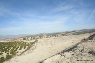 Finca rústica a Desamparados - Hurchillo - Torremendo. !! gran oportunidad !! estupenda finca rústica en la dehesa de p
