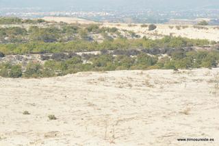 Fondo rustico in Desamparados - Hurchillo - Torremendo. !! gran oportunidad !! estupenda finca rústica en la dehesa de p