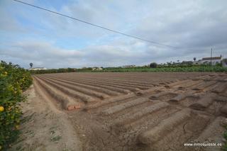 Finca rústica en Molins - Campanete - San Bartolomé. Gran oportunidad !! parcela de terreno rústico en la pedanía de