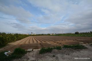 Finca rústica a Molins - Campanete - San Bartolomé. Gran oportunidad !! parcela de terreno rústico en la pedanía de