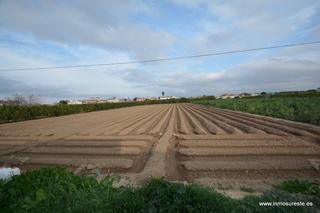 Finca rústica a Molins - Campanete - San Bartolomé. Parcela de terreno rústico en la pedanía de molins. terreno de 2
