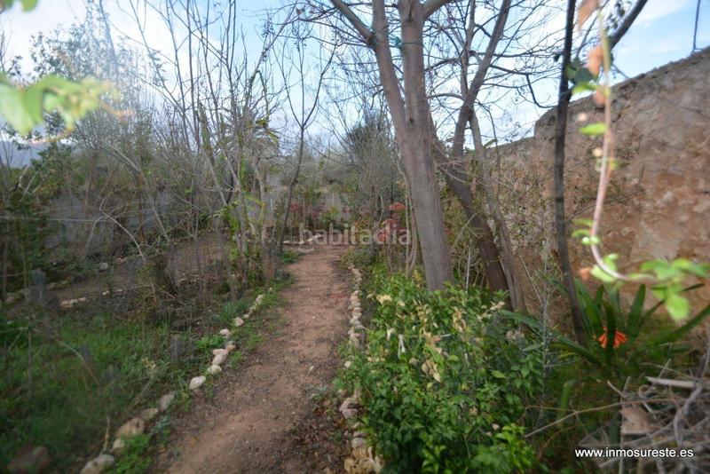 Foto 6cc87537-9d63-4a32-b913-990db5560e5c. Casa vivienda planta baja parcela !! casa planta baja en callosilla zona virgen del camino, 81 m2 construidos y parcela de 162 m2 en Orihuela