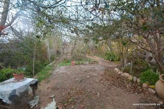 Maison à La Murada - Los Vicentes. Vivienda planta baja y parcela !! casa planta baja en callosilla