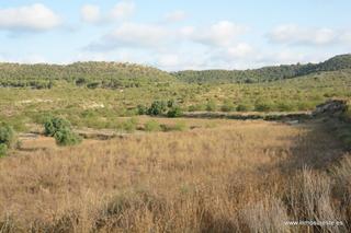 Propriété à Desamparados - Hurchillo - Torremendo. Finca de secano en la pedanía de torremendo, orihuela. 17.000 m2