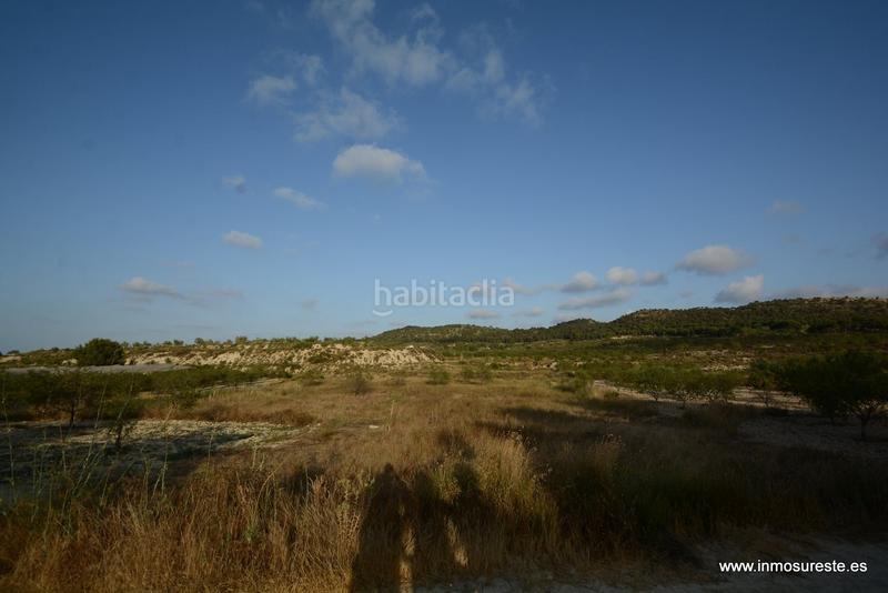 Foto 44ca91e9-105e-4ab9-a27a-33cca4d4fec7. Finca rústica terreno rústico de secano en la pedanía de torremendo, . 17.000 m2. de superficie. en Orihuela