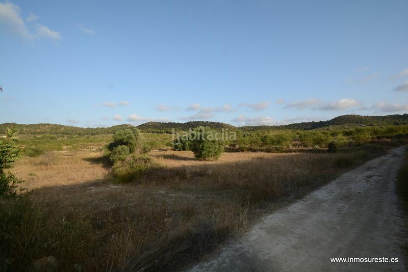 Foto 65ad0451-fabe-48d4-ba02-b3f7429cb423. Finca rústica terreno rústico de secano en la pedanía de torremendo, . 17.000 m2. de superficie. en Orihuela