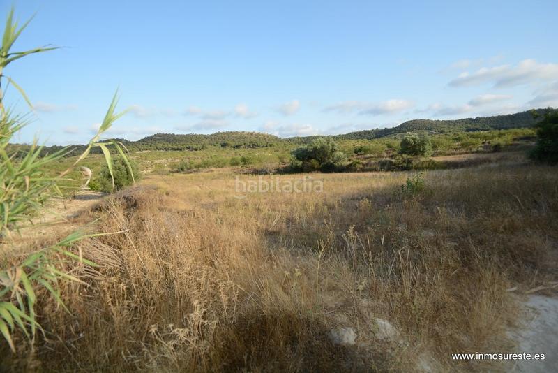 Foto c32f37fa-89e6-42d9-ba3c-fbf65fbbdf84. Finca rústica terreno rústico de secano en la pedanía de torremendo, . 17.000 m2. de superficie. en Orihuela