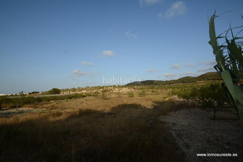 Foto ce2cedd3-d542-43b6-8c50-962af8a4e09b. Finca rústica terreno rústico de secano en la pedanía de torremendo, . 17.000 m2. de superficie. en Orihuela