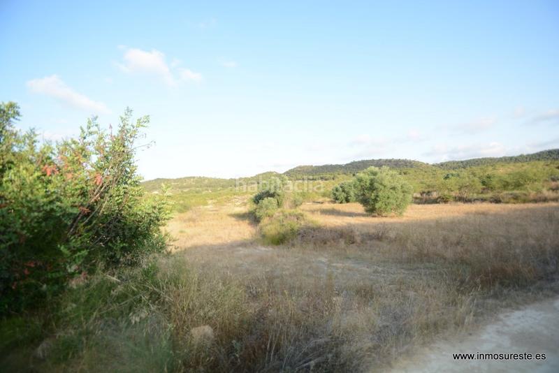Foto de9a3bdb-6e43-4d49-9e71-2ed19ae5ccd5. Finca rústica terreno rústico de secano en la pedanía de torremendo, . 17.000 m2. de superficie. en Orihuela