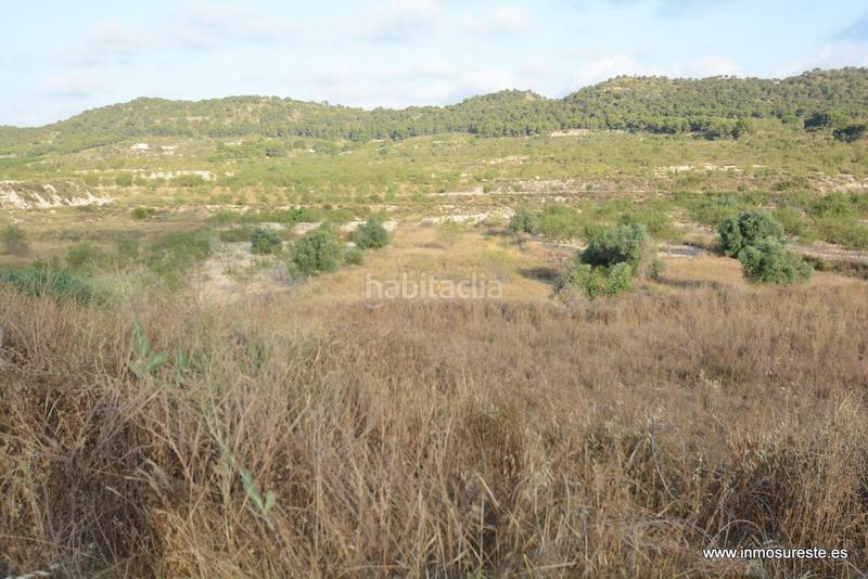 Foto fbae4efe-dd14-407c-a440-028301205c6e. Finca rústica terreno rústico de secano en la pedanía de torremendo, . 17.000 m2. de superficie. en Orihuela