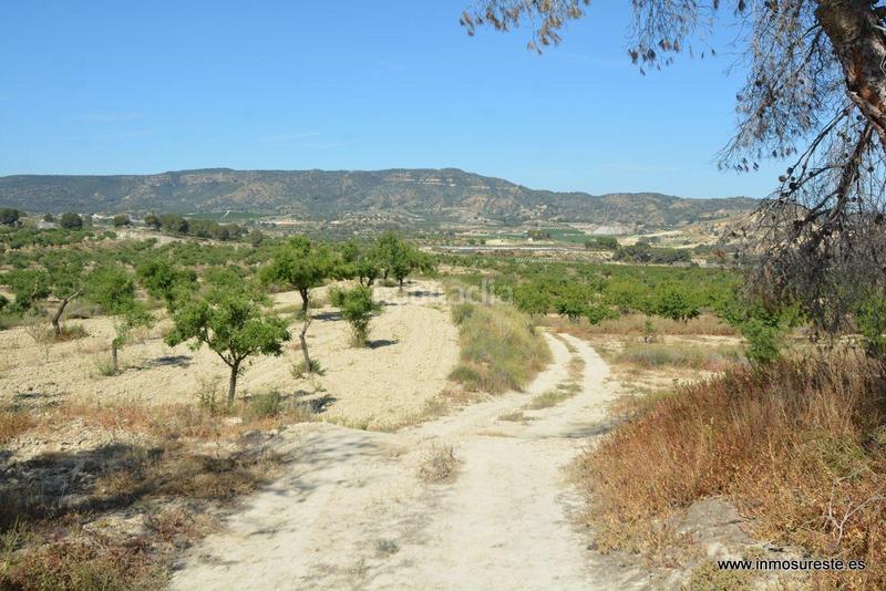 Foto 042e7703-af84-45ca-9547-8b9fdc8c7dc5. Fondo rustico in Sucina Murcia