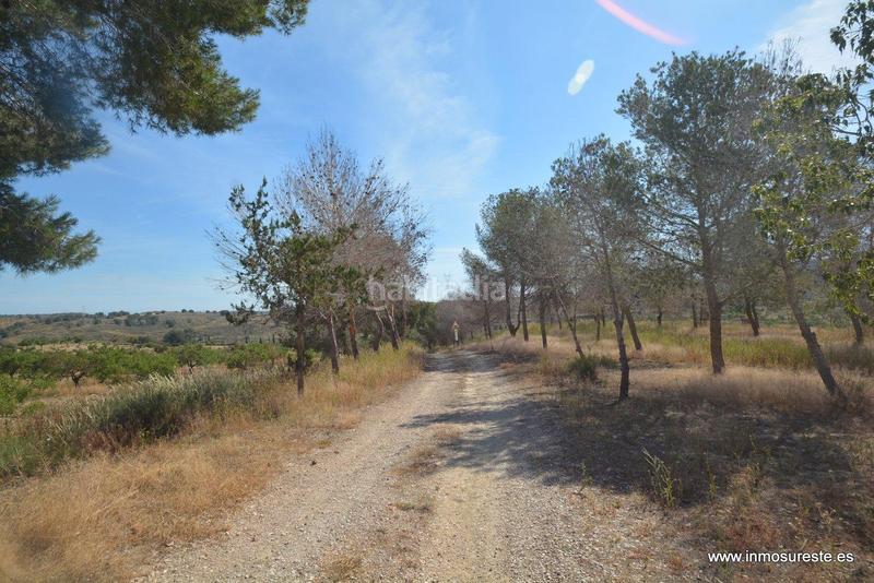 Foto 12187646-45e4-406a-8f25-7b99ab9ec469. Fondo rustico in Sucina Murcia