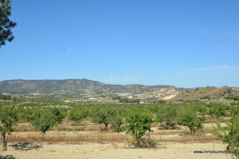 Foto 569ddbb7-b118-4eb3-8bbb-0284d5d80538. Fondo rustico in Sucina Murcia