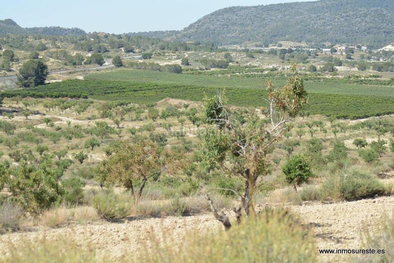 Foto 5bd2b807-ee67-493f-b0e5-0ce173b90aee. Fondo rustico in Sucina Murcia