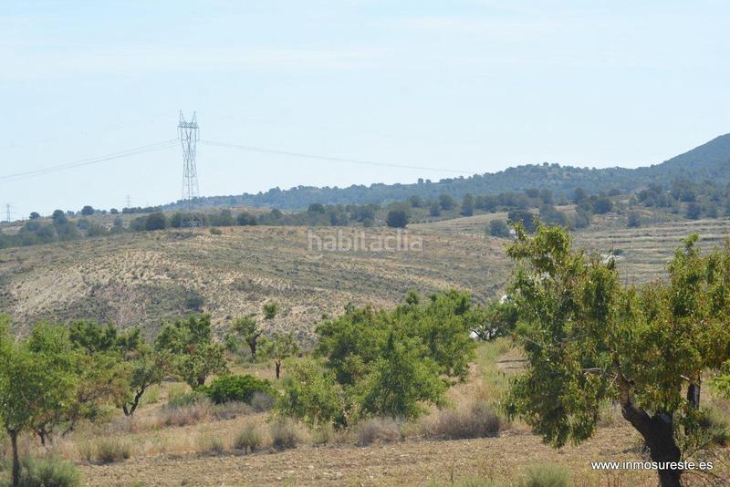 Foto 5e1e537b-ba72-449c-a7a9-a51fb438eb37. Fondo rustico in Sucina Murcia