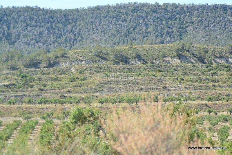 Foto 78823d20-55d8-423a-92c7-989dc14f8cb0. Fondo rustico in Sucina Murcia