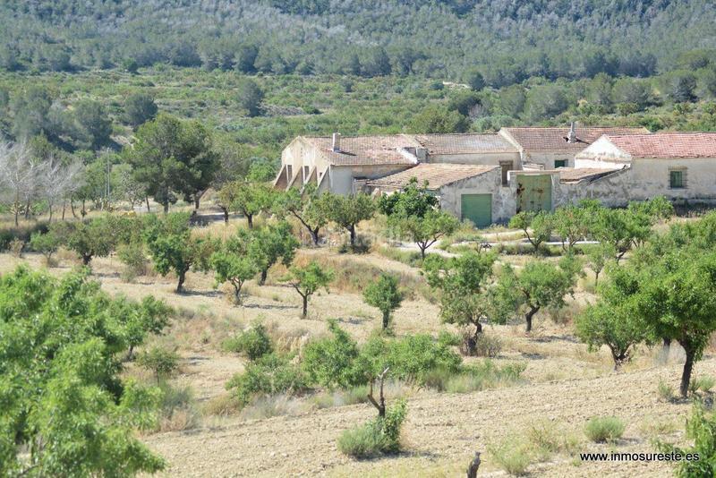 Foto 8cdafccd-ec37-4e09-97b2-028b23bd8977. Fondo rustico in Sucina Murcia