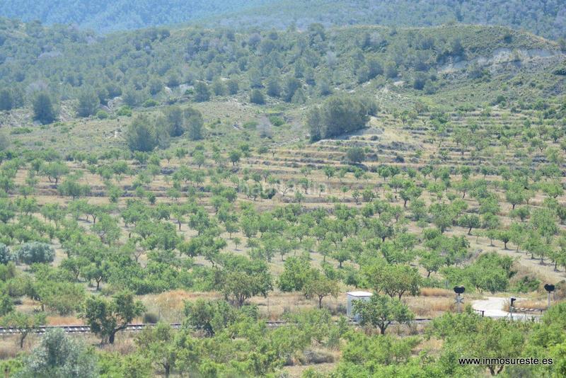 Foto 93c9542a-05f3-4793-a9f2-a42cb8eb8e04. Fondo rustico in Sucina Murcia