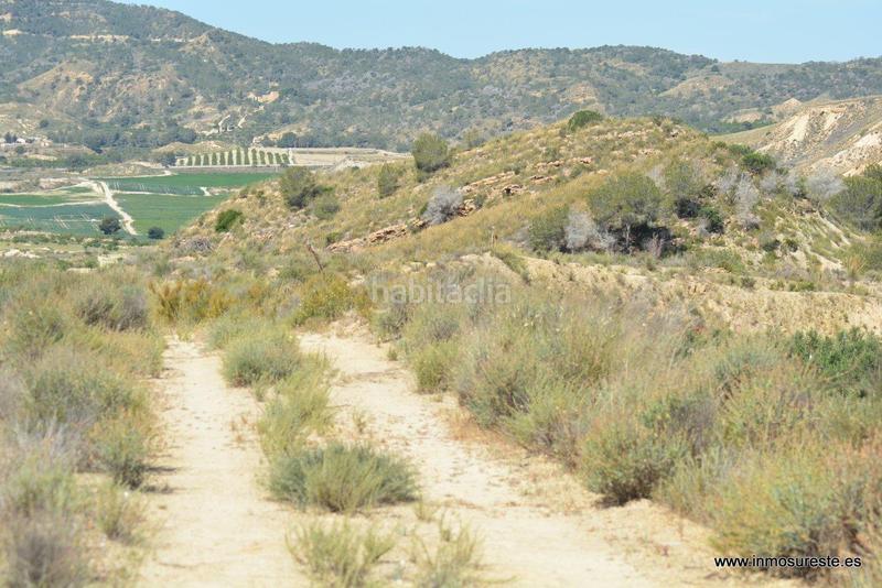 Foto adda35d7-fd0a-42c9-b97f-86407709d4d4. Fondo rustico in Sucina Murcia