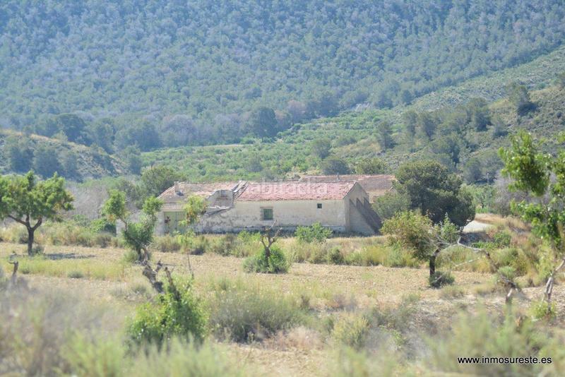 Foto d871d7f1-f0da-47f1-9b66-66887f7584ab. Fondo rustico in Sucina Murcia