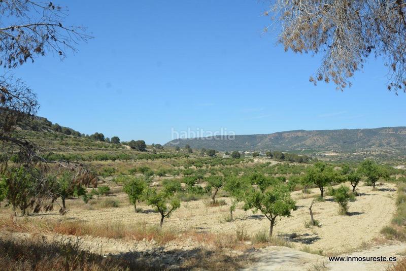 Foto e5deb2f1-0ded-49e3-86a2-2ebfe91b4202. Fondo rustico in Sucina Murcia