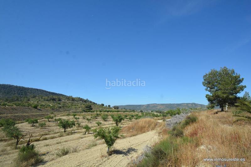 Foto f573e176-8ce2-47f4-b53e-7abd14c55842. Fondo rustico in Sucina Murcia