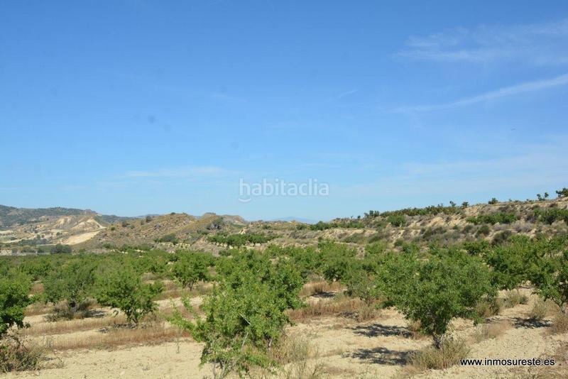 Foto f9eca17b-c6a3-4cbc-9c20-d9a3c89c0fcf. Fondo rustico in Sucina Murcia