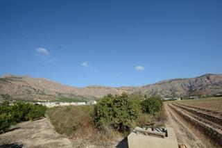 Finca rústica a Montepinar - La Aparecida - Raiguero. Oportunidad !! parcela rústica de 5600 m2. de superficie en el r
