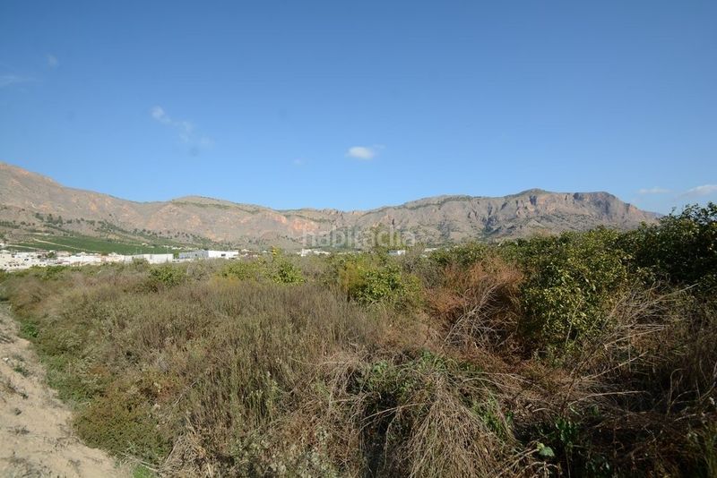 Foto 54d61227-4bf8-47df-979d-7d367cd3d0fb. Finca rústica a Montepinar - La Aparecida - Raiguero Orihuela