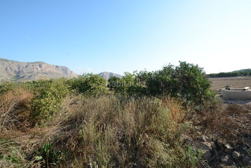Foto 54ff6b67-6c0f-42b1-aff4-557f665cda95. Finca rústica a Montepinar - La Aparecida - Raiguero Orihuela