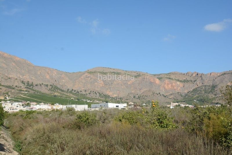 Foto 5d31ffe1-46bb-4968-8d61-5fe5306e397d. Finca rústica a Montepinar - La Aparecida - Raiguero Orihuela