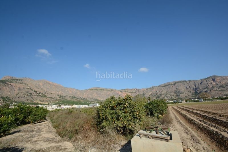 Foto 71c7649a-f58d-4a69-8583-033d6eb9eb4a. Finca rústica a Montepinar - La Aparecida - Raiguero Orihuela