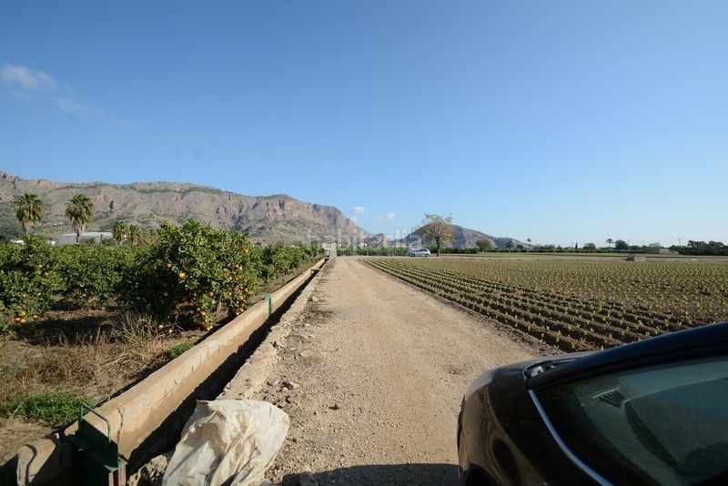 Foto 94bd19a0-e9e2-401b-b580-746921756a08. Finca rústica a Montepinar - La Aparecida - Raiguero Orihuela