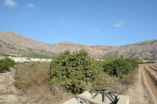 Rural plot in Montepinar - La Aparecida - Raiguero. Precio rebajado !! parcela rústica de 5600 m2. de superficie en