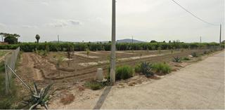 Rural plot in Rafal. Parcela de terreno rústico de 1.735 m2. en camino viejo de callo