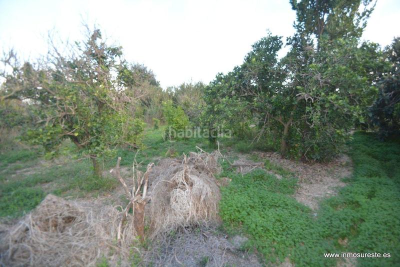 Foto f0ac2bb5-dccd-49a5-9fa9-52b5e46e5a83. Casa amb aparcament a Molins - Campanete - San Bartolomé Orihuela