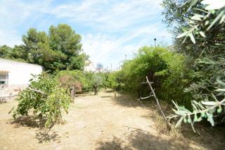 Terreny residencial a La Murada - Los Vicentes. Solar urbano de 940 m2. en la murada orihuela, con casa de 95 m2