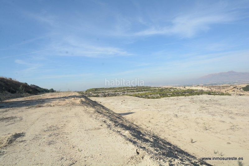 Foto 58149aad-2227-4d02-9532-6083fa25cc7a. Finca rústica a Desamparados - Hurchillo - Torremendo Orihuela