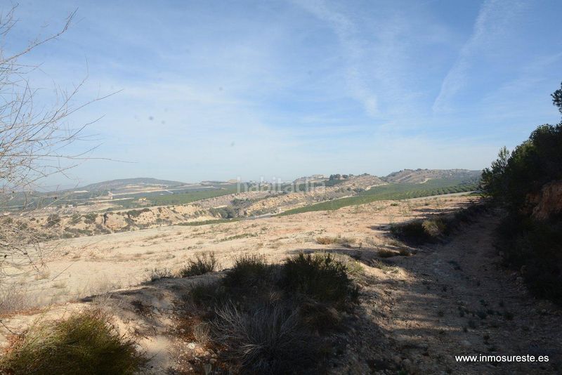 Foto 5ba5e74b-9ace-483a-89f1-636bd52472ec. Finca rústica a Desamparados - Hurchillo - Torremendo Orihuela