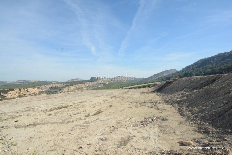 Foto 79e1bfee-d44d-454a-aff3-37e89ac59224. Finca rústica a Desamparados - Hurchillo - Torremendo Orihuela